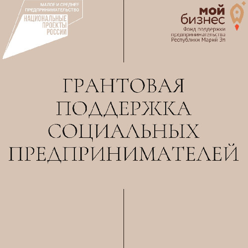 Предоставление грантов социальным предпринимателям. Предоставление грантов социальным предпринимателям